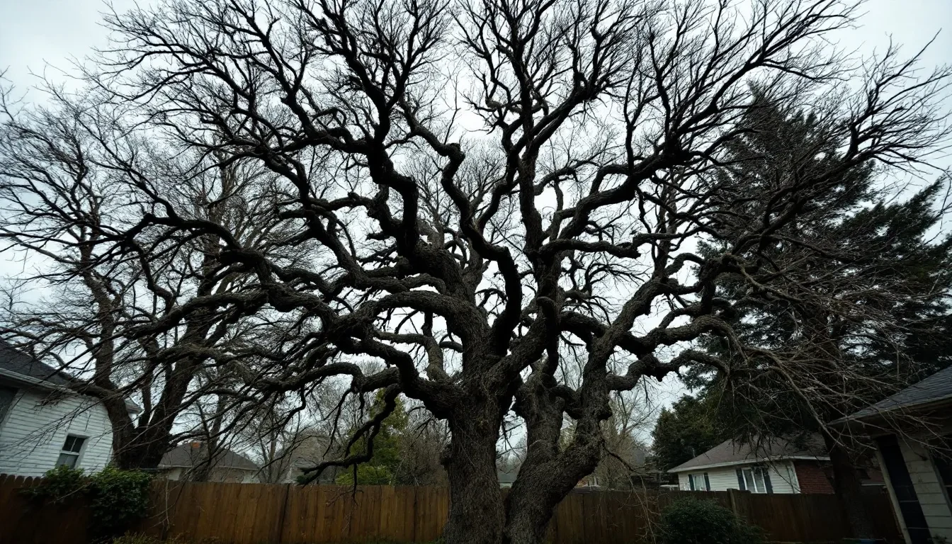 Tree Shaping Service in Montgomery